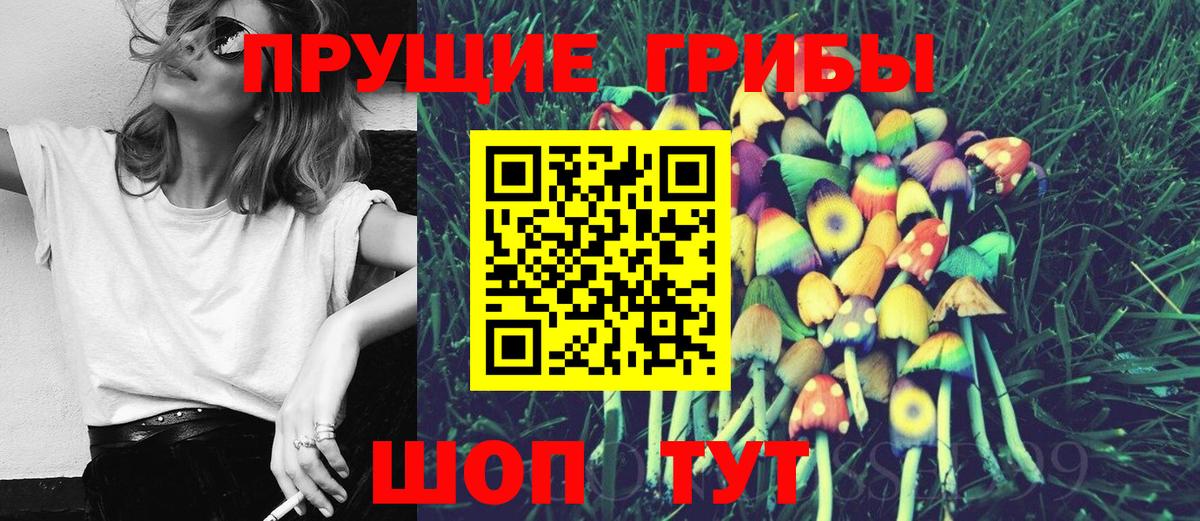 Галлюциногенные грибы MAGIC MUSHROOMS  Псилоцибиновые грибы MAGIC MUSHROOMS  Курчатов  Вход с VPN 