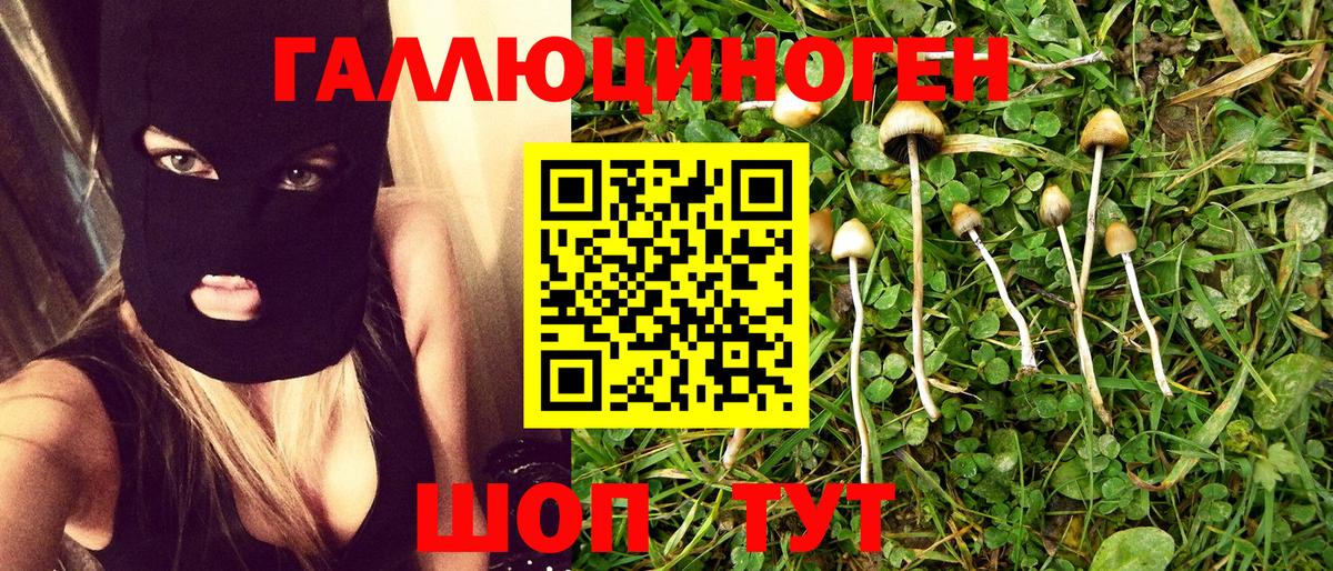 Псилоцибиновые грибы GOLDEN TEACHER Курчатов